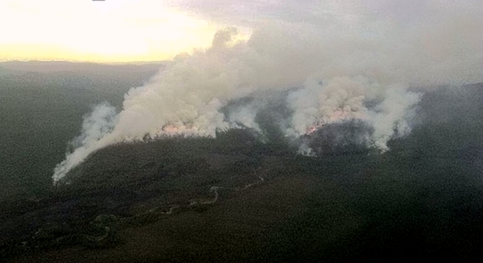 大兴安岭森林火灾事件再次诠释森林防火的重要性