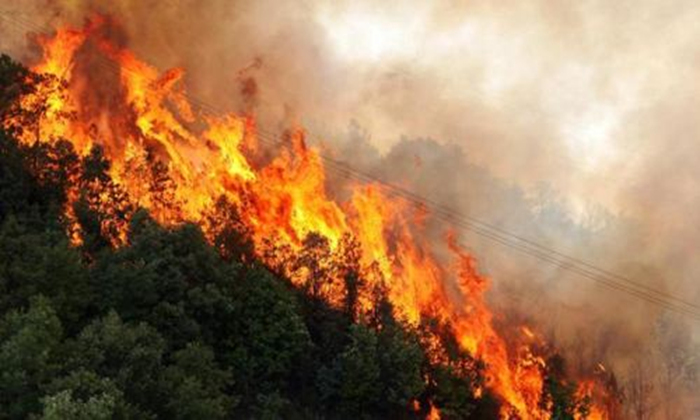数字防火，森林消防无线远程监测方案